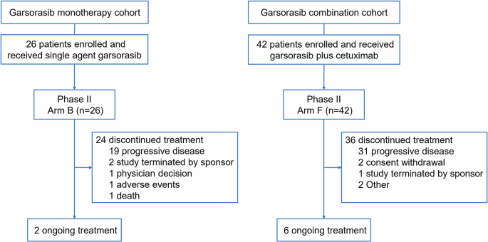 Garsorasib, a KRAS G12C inhibitor, with or without cetuximab, an EGFR antibody, in colorectal cancer cohorts of a phase II trial in advanced solid tumors with KRAS G12C mutation