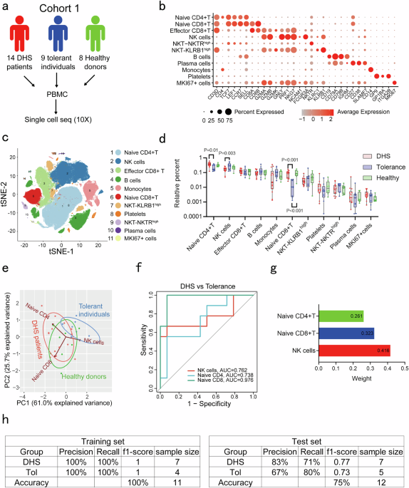 TSC22 domain family member 3 links natural killer cells to CD8+ T cell-mediated drug hypersensitivity