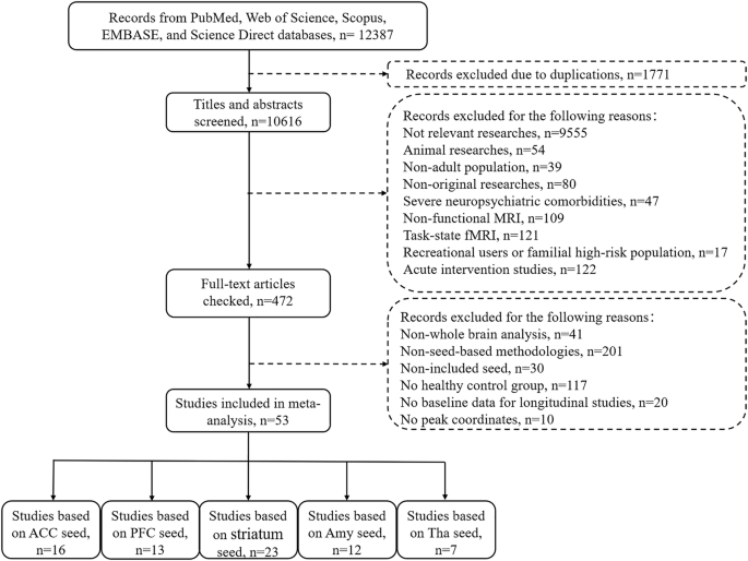 Common neural patterns of substance use disorder: a seed-based resting-state functional connectivity meta-analysis