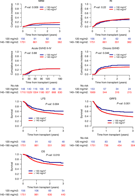 Impact of fludarabine dose on outcome after allo-HSCT with reduced intensity conditioning for older patients with AML