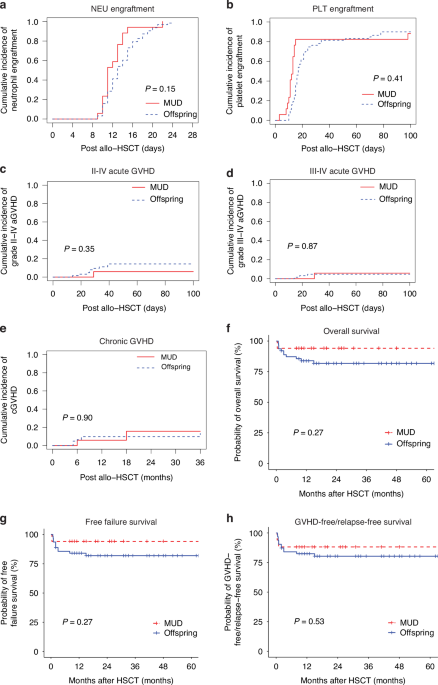 Clinical outcomes of offspring and matched unrelated donor transplants in relapsed or refractory severe aplastic anemia patients aged 40–50: a retrospective analysis from the CBMTR over the past decade
