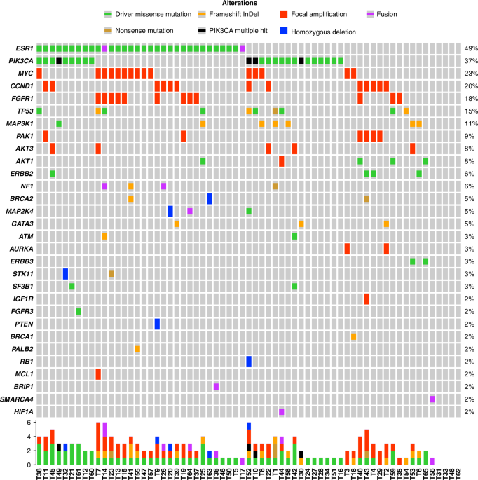 Genomic landscape of estrogen receptor-positive HER2-negative advanced breast cancer with acquired resistance to aromatase inhibitors: Identification of an ESR1 alteration-related gene signature