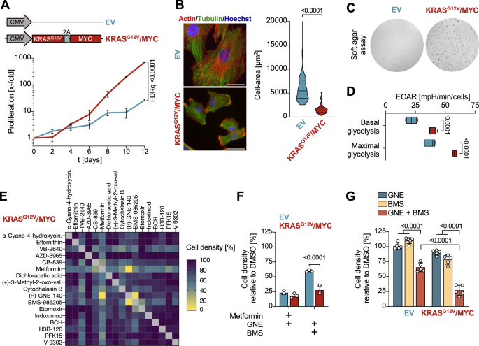 Synergistic targeting of cancer cells through simultaneous inhibition of key metabolic enzymes