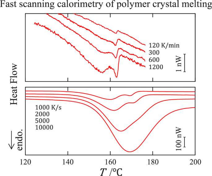 Melting kinetics of polymer crystals