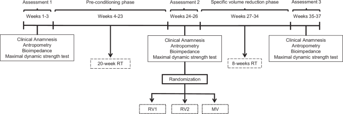Bioelectrical impedance vector analysis and phase angle in response to resistance training volume reduction in older women