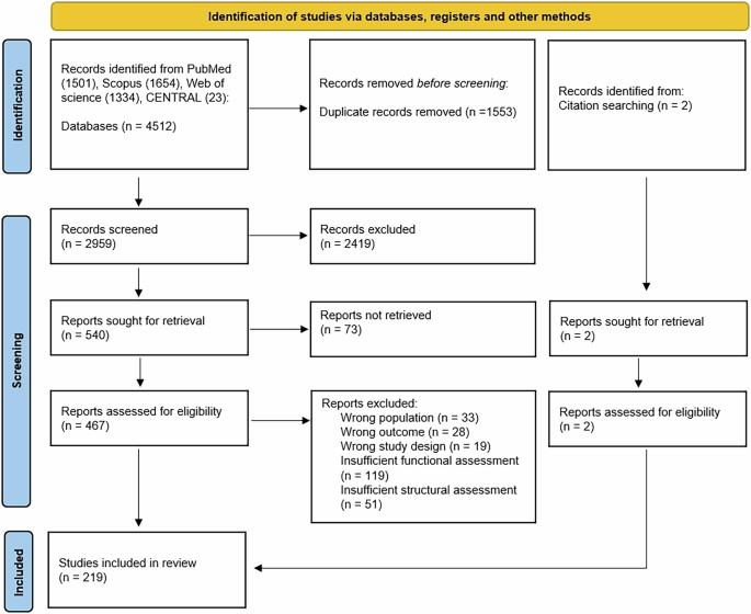 Structure–function correlates in anterior visual pathway lesions: a systematic review