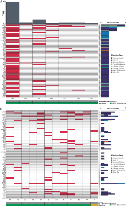 Molecular patterns and mechanisms of tumorigenesis in HPV-associated and HPV-independent sinonasal squamous cell carcinoma