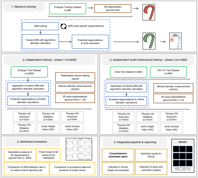 AI-Based screening for thoracic aortic aneurysms in routine breast MRI