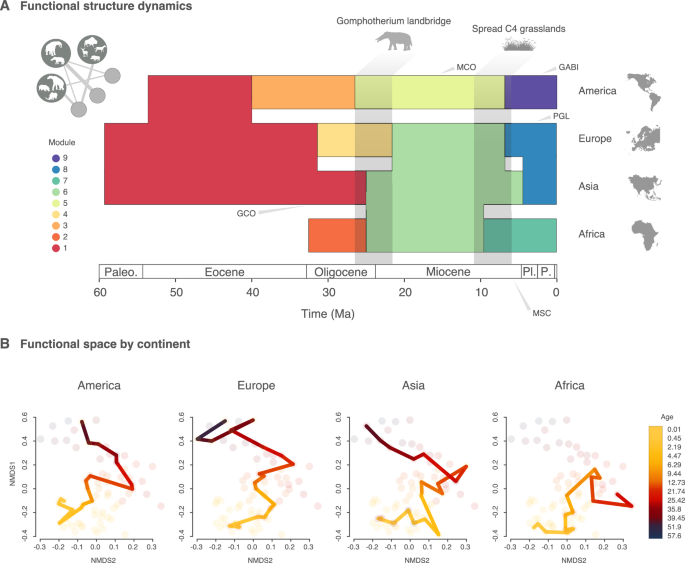 Two major ecological shifts shaped 60 million years of ungulate faunal evolution