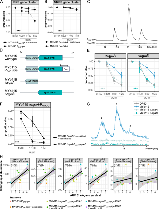 Polyketide synthase-derived sphingolipids mediate microbiota protection against a bacterial pathogen in C. elegans