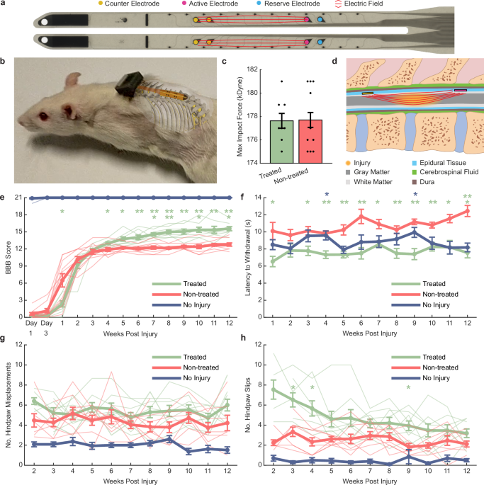 Daily electric field treatment improves functional outcomes after thoracic contusion spinal cord injury in rats