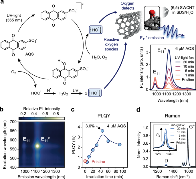 Circular dichroism of quantum defects in carbon nanotubes created by photocatalytic oxygen functionalization