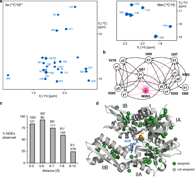 Mechanism of ATP hydrolysis in the Hsp70 BiP nucleotide-binding domain