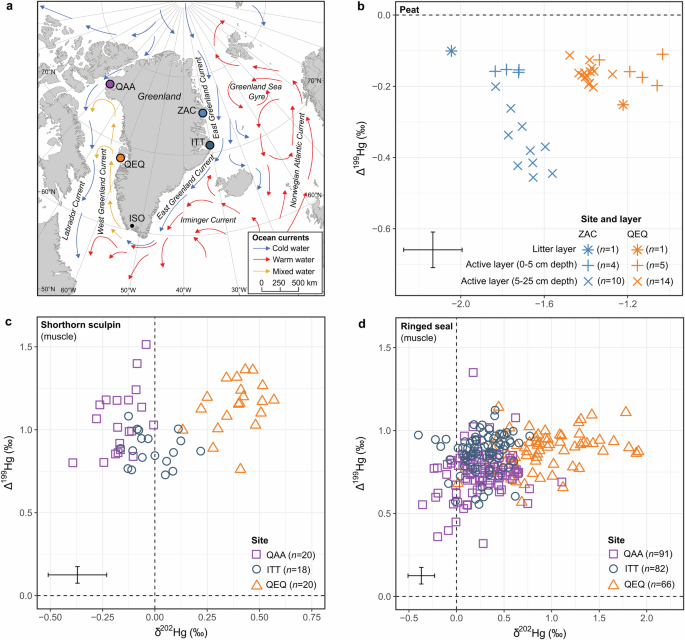 Stable isotopes unveil ocean transport of legacy mercury into Arctic food webs