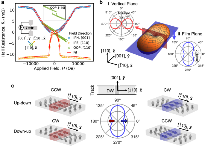 Néel domain walls with bistable chirality in a perpendicularly magnetized ferrimagnetic insulator
