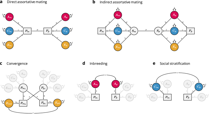 Understanding indirect assortative mating and its intergenerational consequences for educational attainment