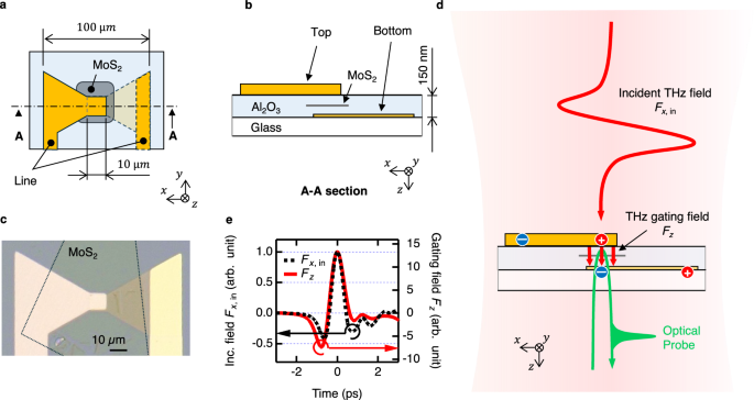 Terahertz field effect in a two-dimensional semiconductor