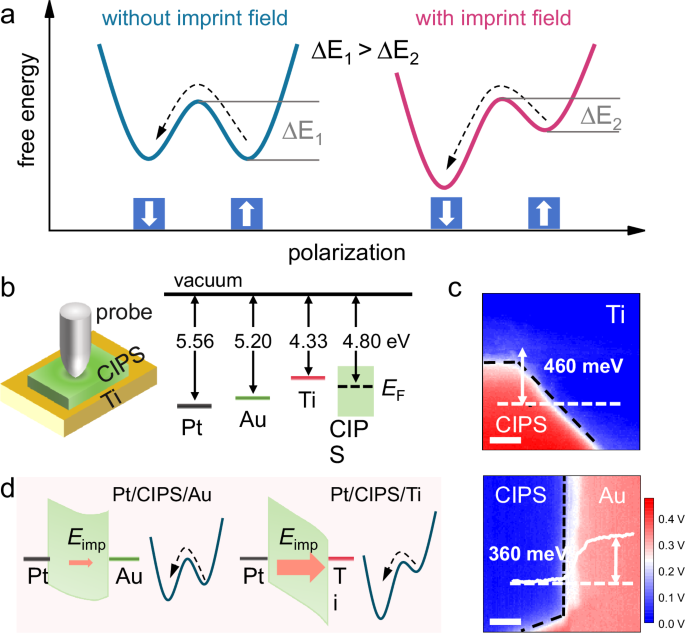 Low-force pulse switching of ferroelectric polarization enabled by imprint field