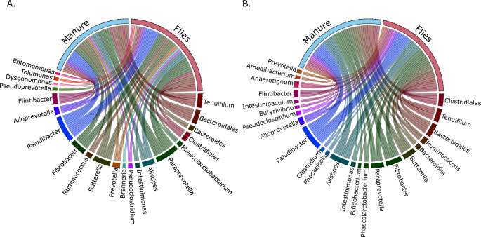 Genomic evidence for flies as carriers of zoonotic pathogens on dairy farms