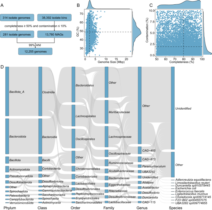 Comprehensive genome catalog analysis of the resistome, virulome and mobilome in the wild rodent gut microbiota