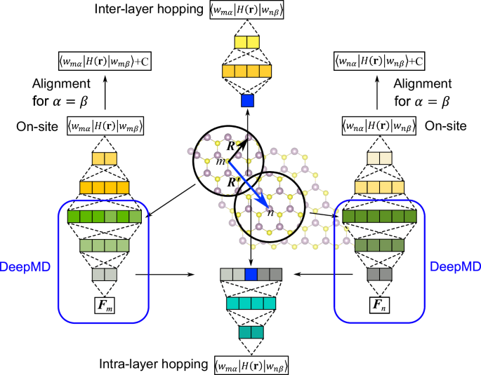Bridging deep learning force fields and electronic structures with a physics-informed approach