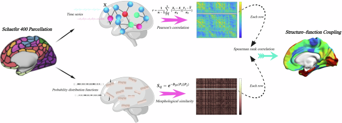 Excitation-inhibition balance abnormally shapes structure–function coupling of gray matter in Parkinson’s disease