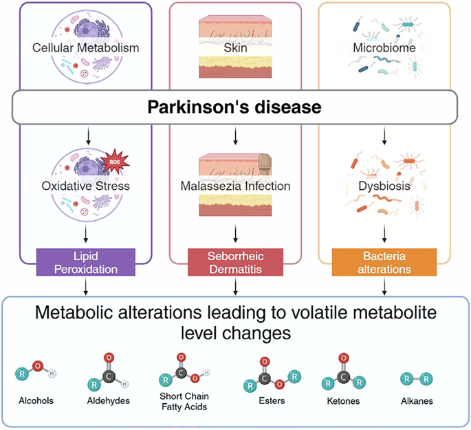 Detection of Volatile Organic Compounds as an emerging strategy for Parkinson’s disease diagnosis and monitoring