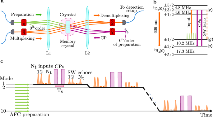 A solid-state temporally multiplexed quantum memory array at the single-photon level