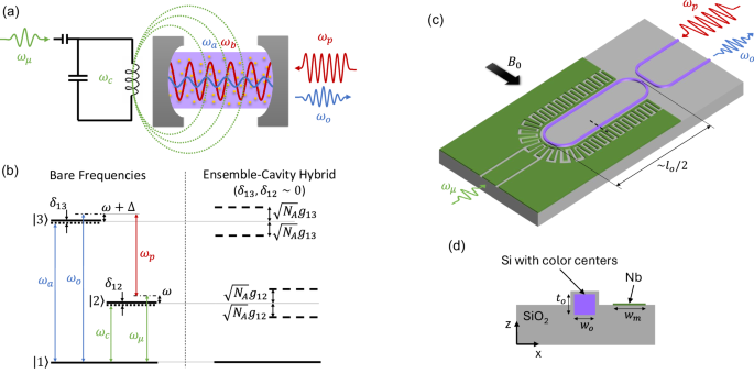 Robust microwave-optical photon conversion using cavity modes strongly hybridized with a color center ensemble