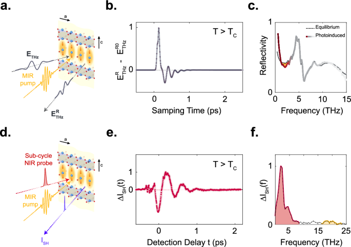 Probing amplified Josephson plasmons in YBa2Cu3O6+x by multidimensional spectroscopy