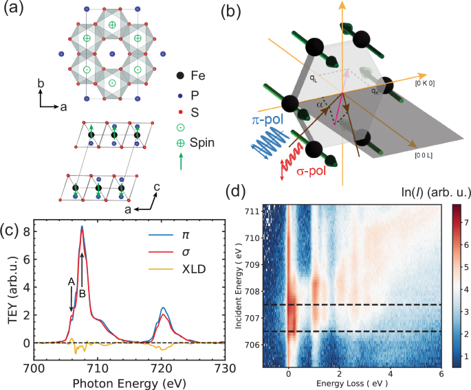 Spin-orbital excitations encoding the magnetic phase transition in the van der Waals antiferromagnet FePS3