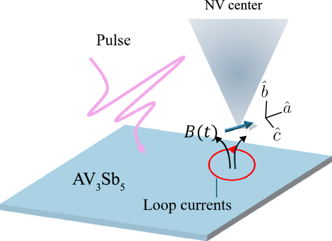 Probing loop currents and collective modes of charge density waves in Kagome materials with NV centers