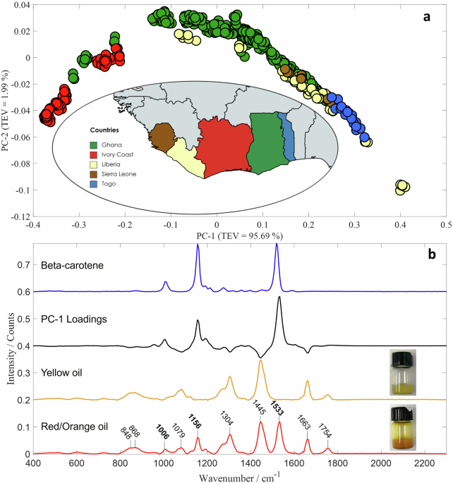 Raman on the palm: handheld Raman spectroscopy for enhanced traceability of palm oil