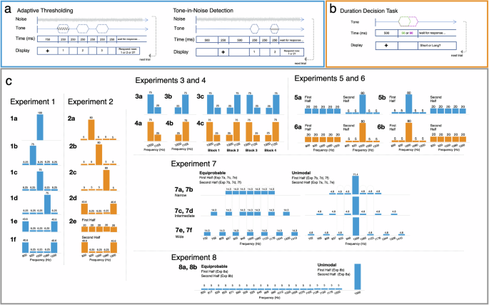Statistical learning dynamically shapes auditory perception