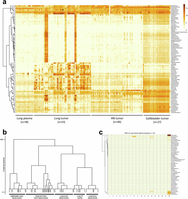 Assessment of plasma derived microbiome profiles in lung cancer using targeted and whole exome sequencing