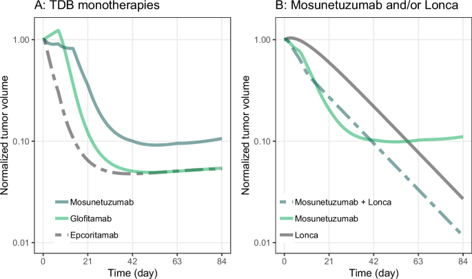 QSP modeling of loncastuximab tesirine with T-cell-dependent bispecific antibodies guides dose-regimen strategy