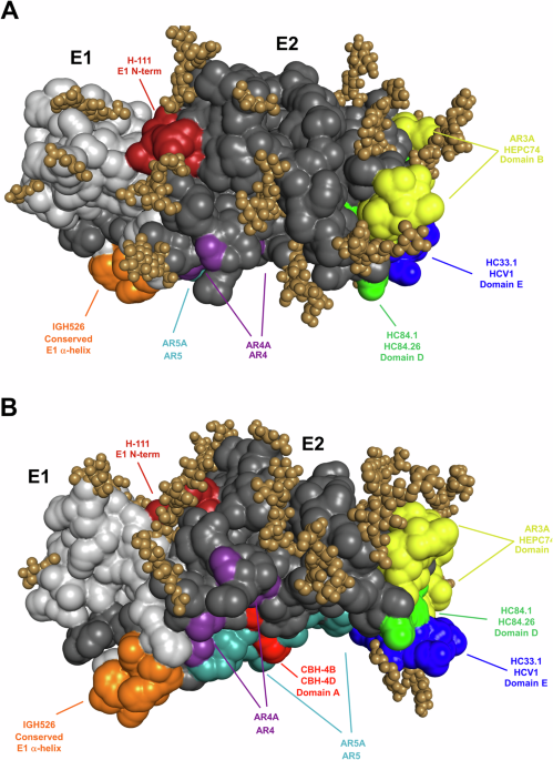 Glycoengineering of the hepatitis C virus E2 glycoprotein improves biochemical properties and enhances immunogenicity