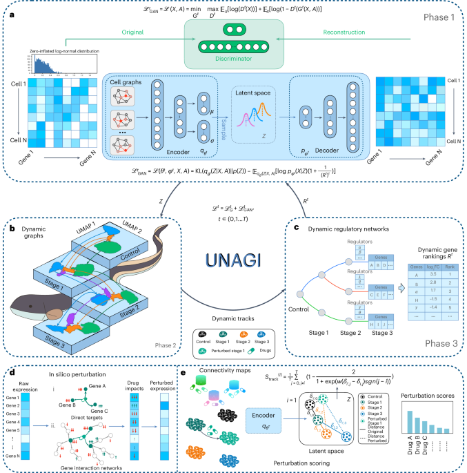 A deep generative model for deciphering cellular dynamics and in silico drug discovery in complex diseases