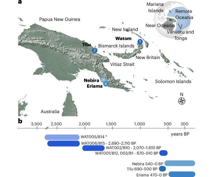 The impact of human dispersals and local interactions on the genetic diversity of coastal Papua New Guinea over the past 2,500 years