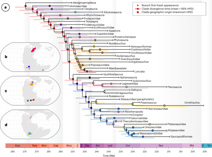 Landscape-explicit phylogeography illuminates the ecographic radiation of early archosauromorph reptiles