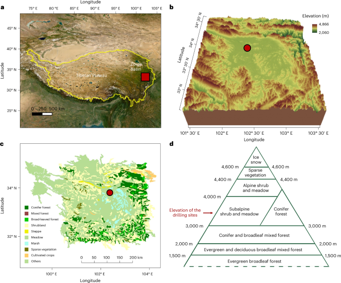 Three-and-a-half million years of Tibetan Plateau vegetation dynamics in response to climate change