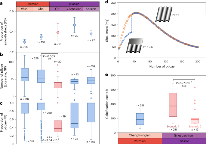 Brachiopods and forams reduced calcification costs through morphological simplification during mass extinction events