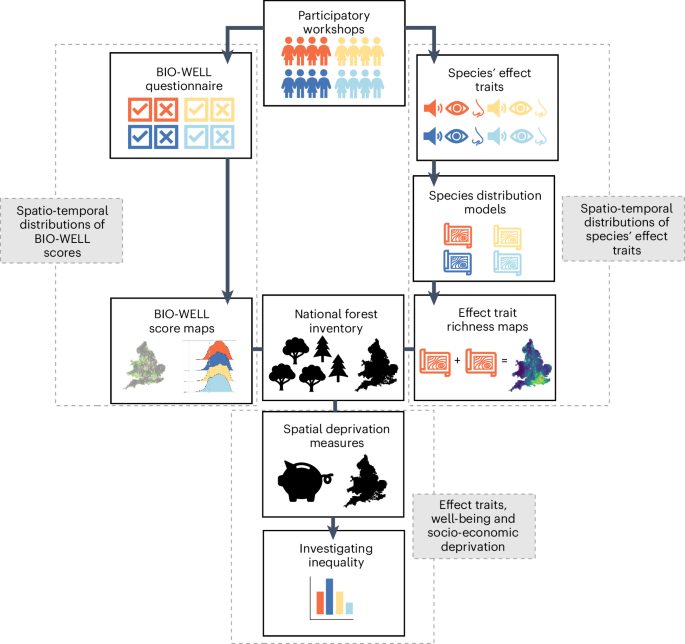 Spatio-temporal variability in forest biodiversity associated with human well-being across socio-economic deprivation gradients