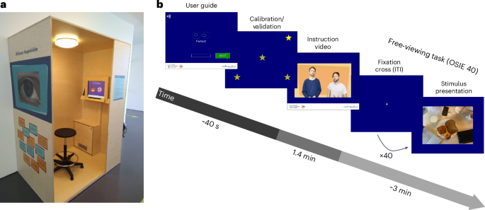 Protracted development of gaze behaviour