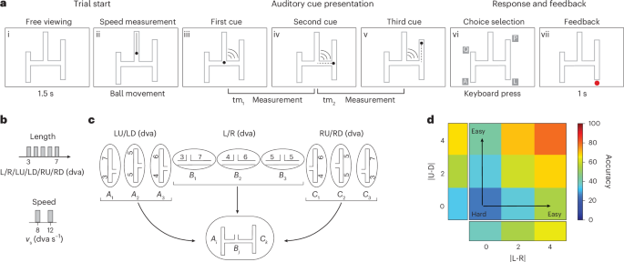 Computational basis of hierarchical and counterfactual information processing
