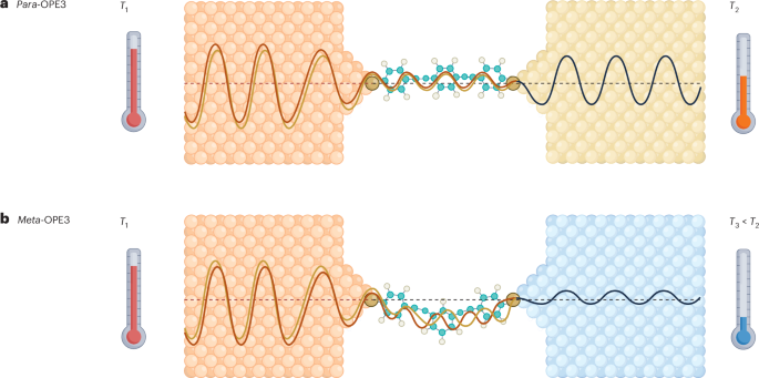 Detecting interference of lattice vibrations
