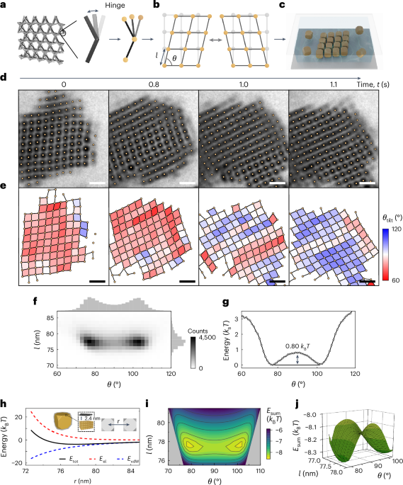 Nanoscale phonon dynamics in self-assembled nanoparticle lattices