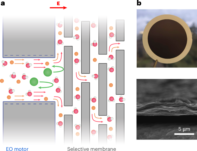 Resonant osmotic diodes for voltage-induced water filtration across composite membranes