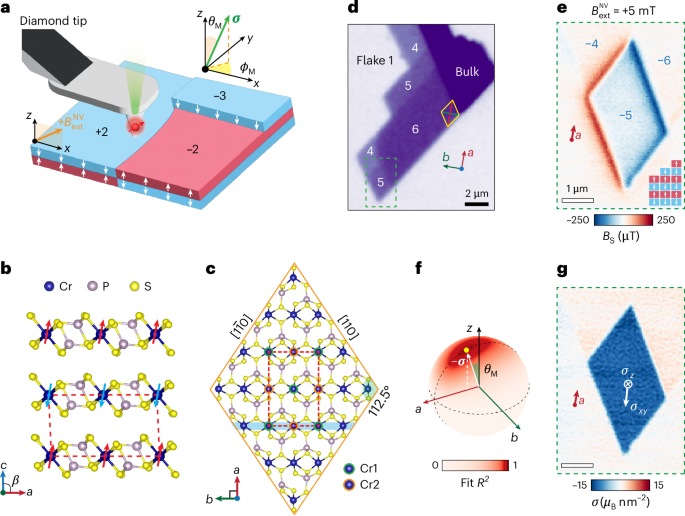 Configurable antiferromagnetic domains and lateral exchange bias in atomically thin CrPS4