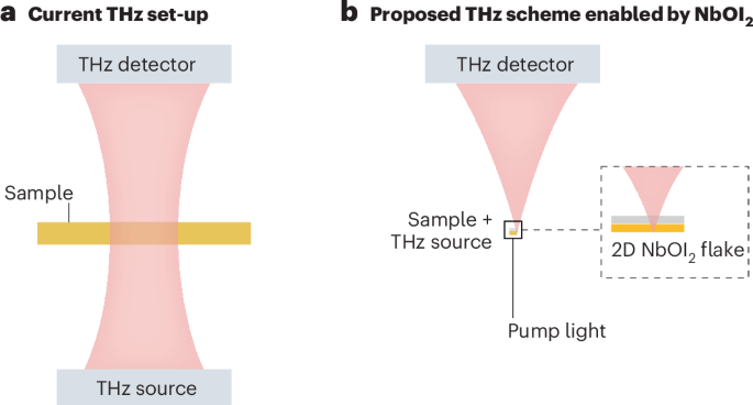 A terahertz source for quantum physics